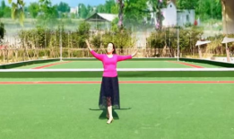 跳舞视频广场舞,广场舞视频中的欢乐时光