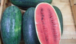 吃瓜爆料黑反差曹县,揭秘曹县背后的惊人反差