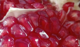 石榴视频,探索视觉盛宴，尽享精彩瞬间