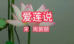 爱莲说朗诵视频,爱莲说朗诵视频赏析