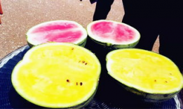 最新吃瓜爆料河北邢台,揭秘背后惊人真相